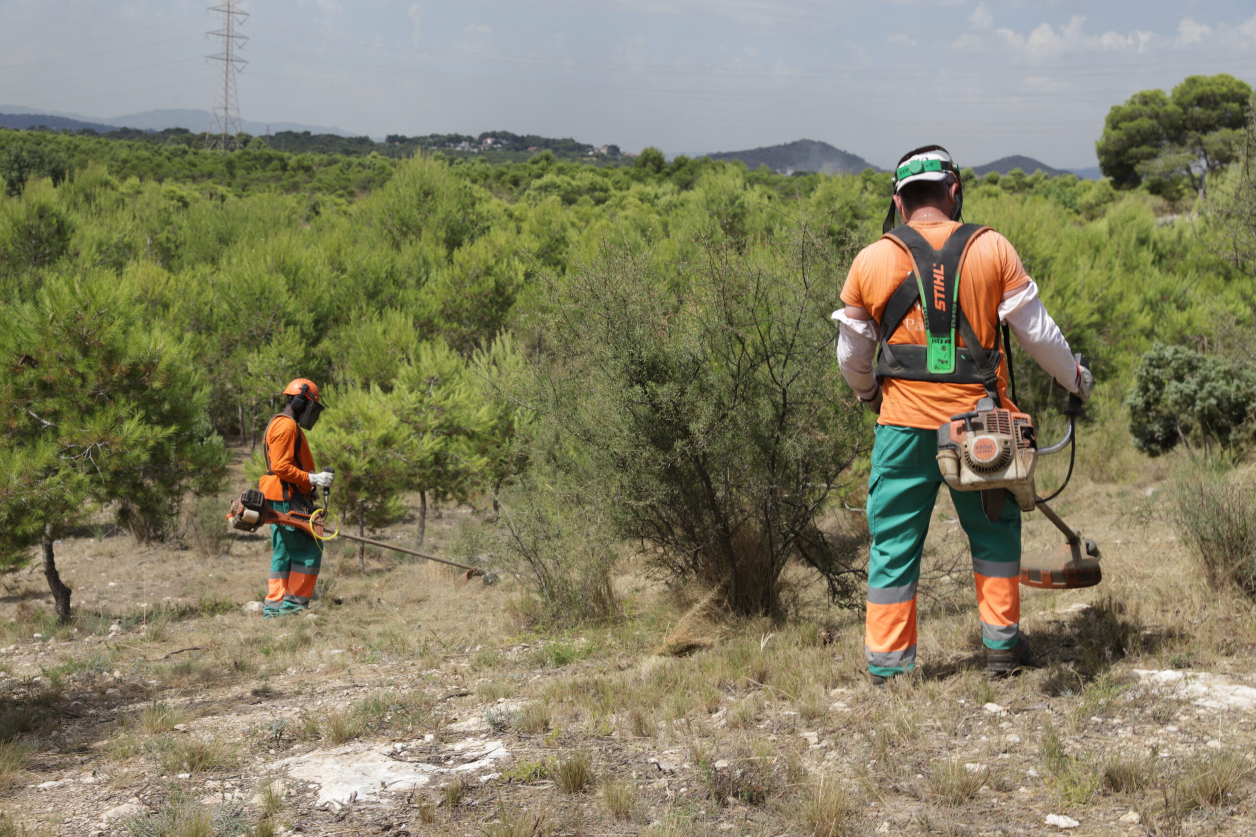 Protección Civil y Emergencias alerta por riesgo de incendios forestales y por altas temperaturas en varias zonas del país