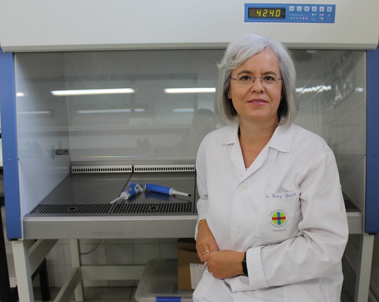 La catedrática de Microbiología de la CEU UCH Teresa Pérez Gracia, primera española en el ‘top 1%’ de expertos internacionales en hepatits E  