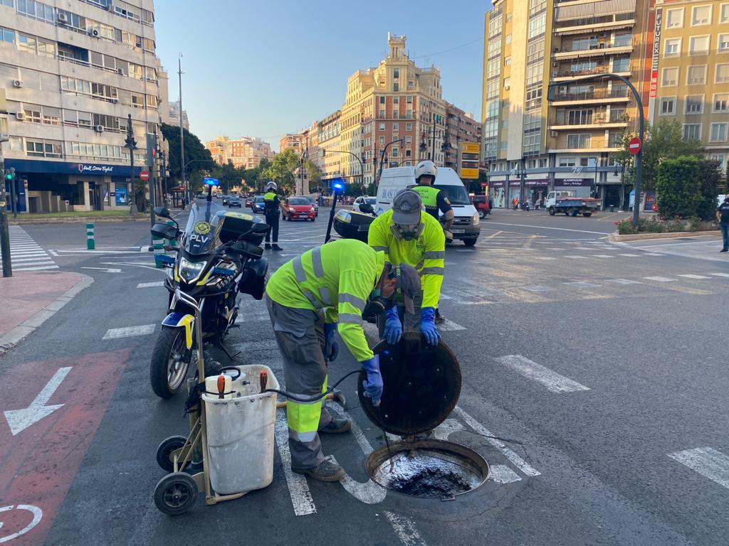 Valencia realiza tratamientos para el control de cucarachas en las grandes vías de la ciudad