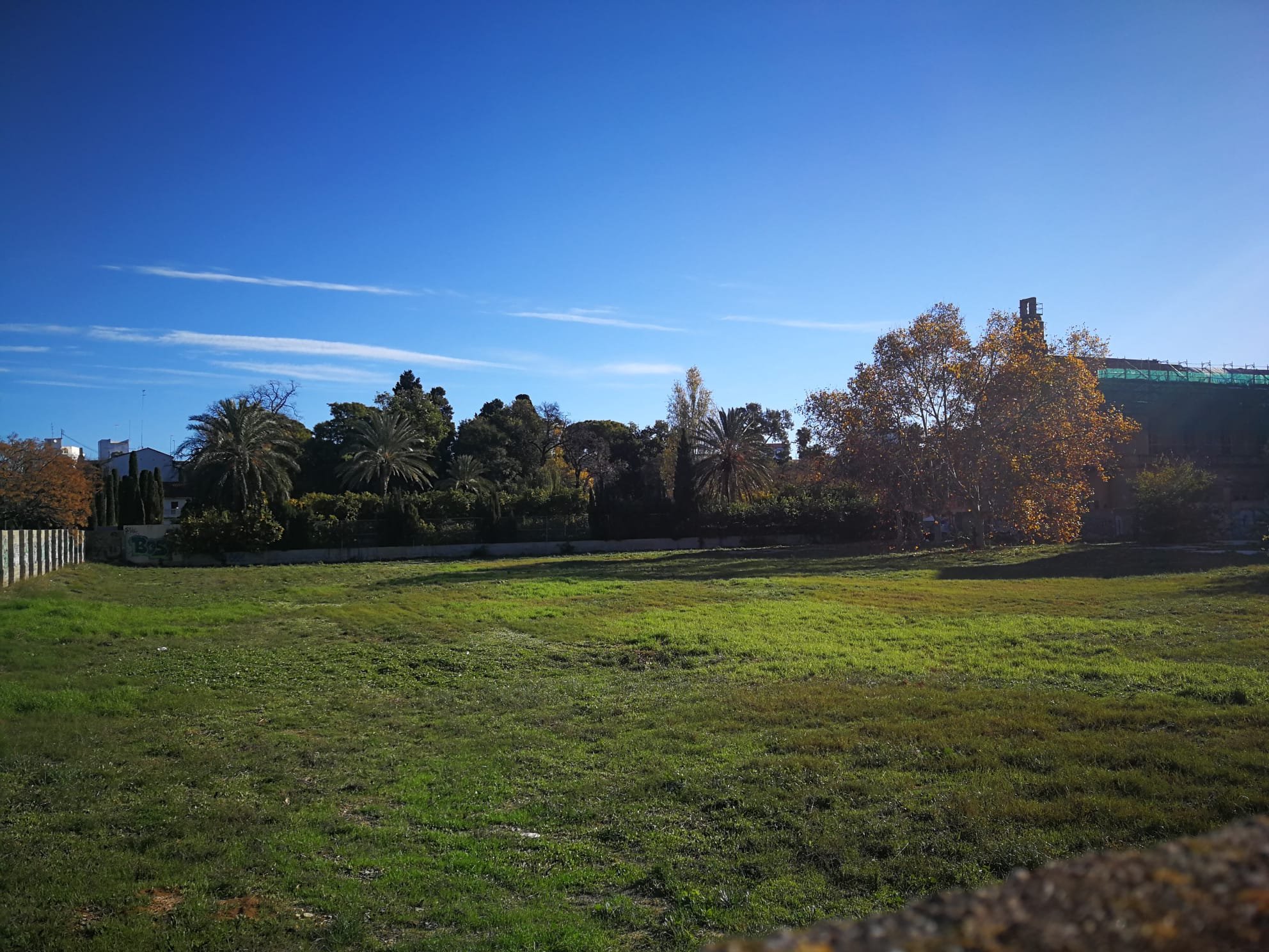 El Ayuntamiento convoca el concurso para el diseño del futuro jardín Trino Simó, ubicado en el antiguo solar de Jesuítas
