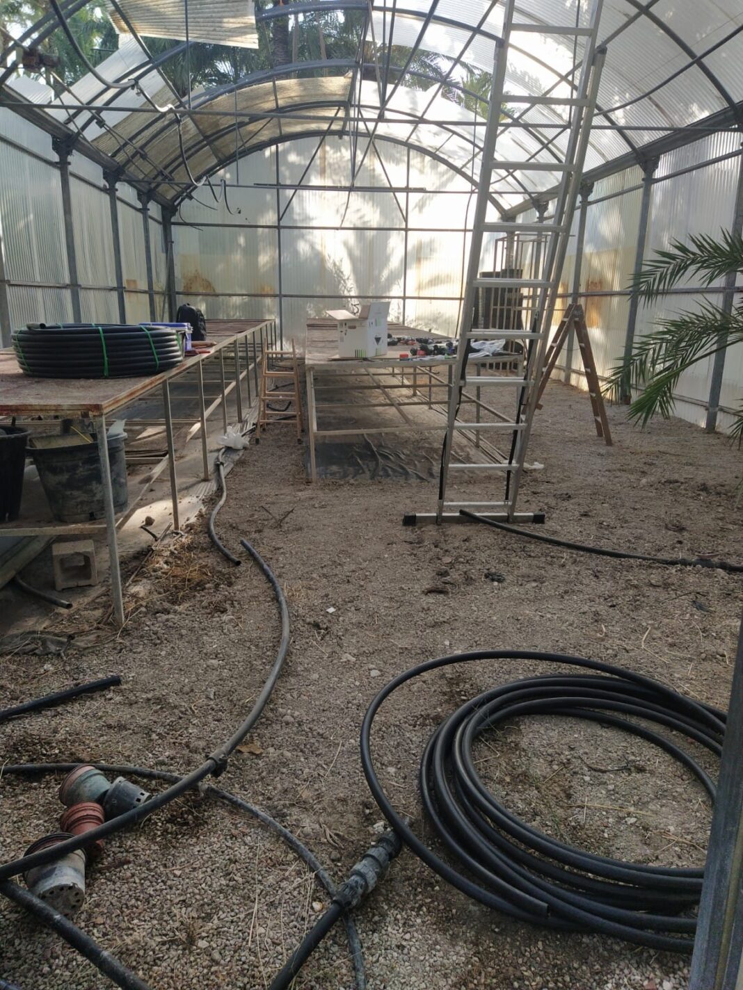 Medio Ambiente ejecuta la rehabilitación del invernadero municipal del Palmeral