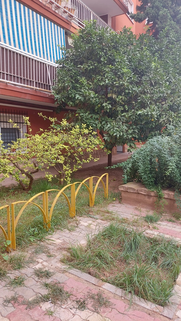Fernando Giner denuncia el abandono de  árboles y jardines del barrio de la Luz de Valencia