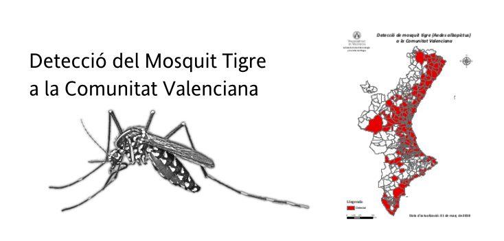 Sanidad organiza una jornada informativa para la lucha contra el mosquito en los municipios de la Comunitat Valenciana