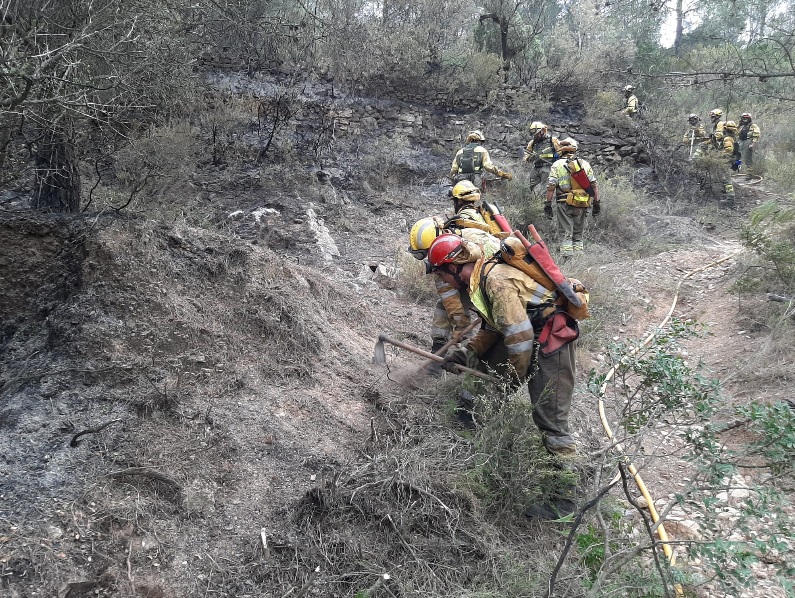 El Servicio de Bomberos Forestales de la Generalitat realiza más de 3.000 actuaciones en múltiples emergencias durante 2021
