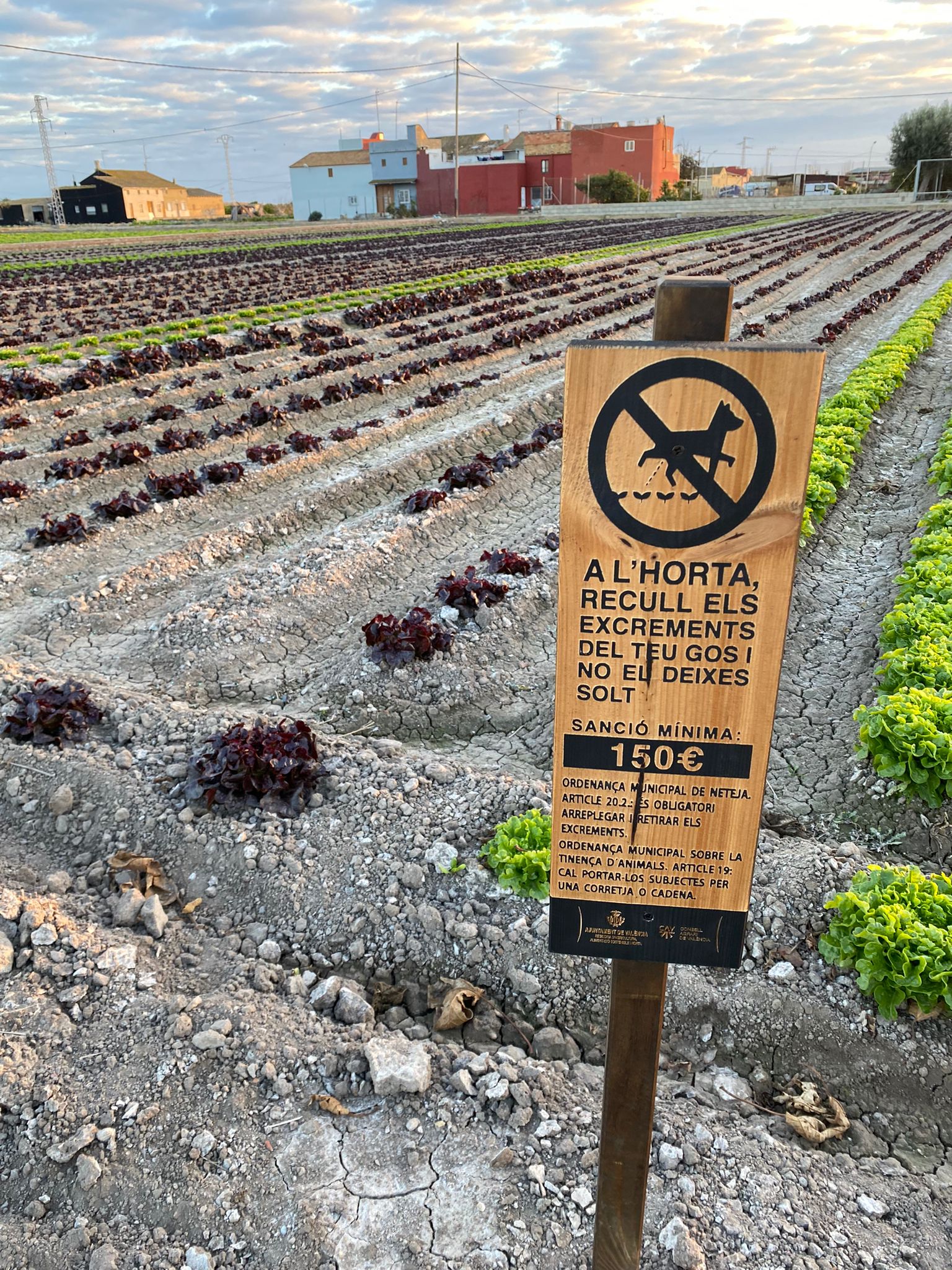 6.050€ para 357 carteles en zonas de huerta recordando no llevar animales sueltos o recoger las cacas del «gobierno animalista»