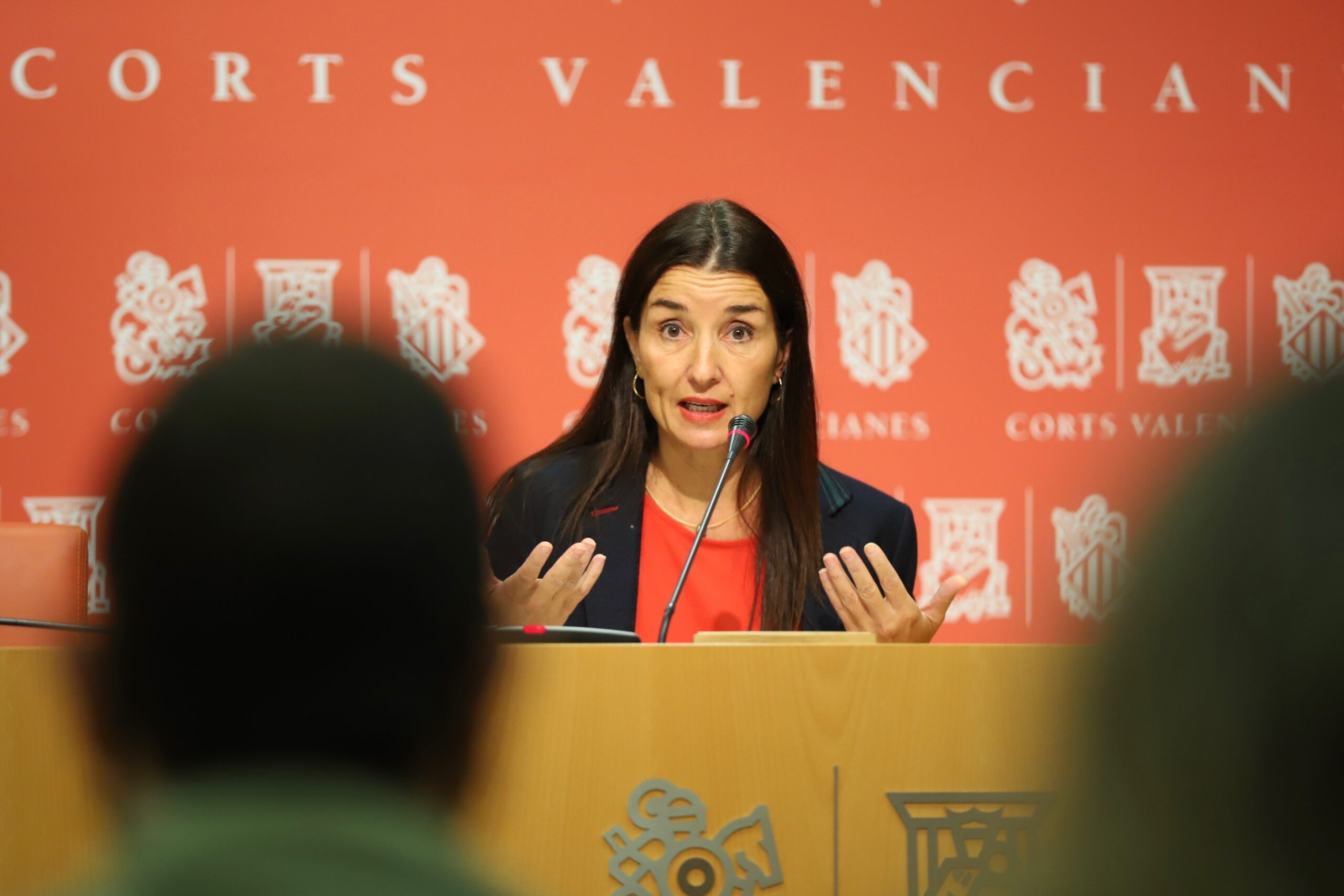 Ruth Merino: “Las palabrasde Pérez Garijo contra la bandera española, alimentan la división de la sociedad y el odio hacia nuestros símbolos comunes”