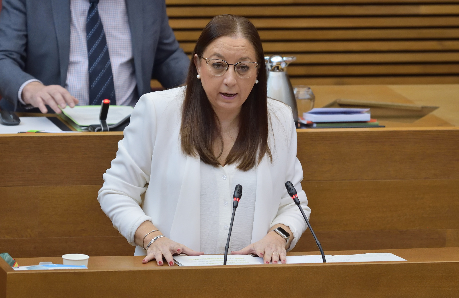 VOX pide recuperar las Normas del Puig por ser lo más cercano a la realidad lingüística de los valencianos