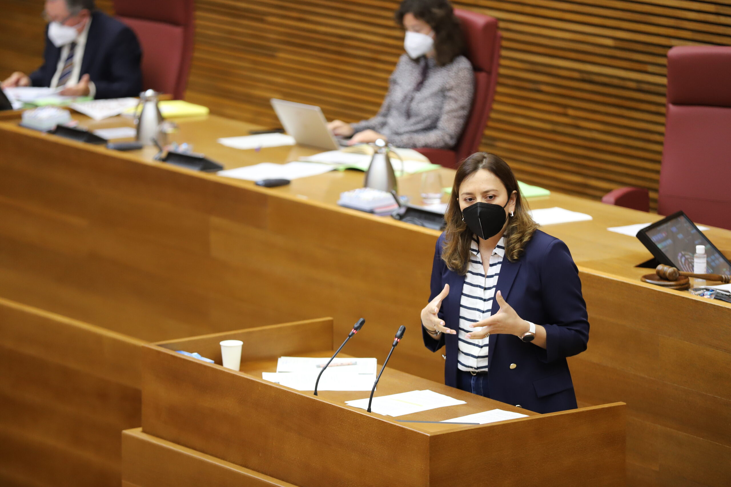 Ciudadanos pide situar a la Comunitat Valenciana como líder en la industria de los semiconductores
