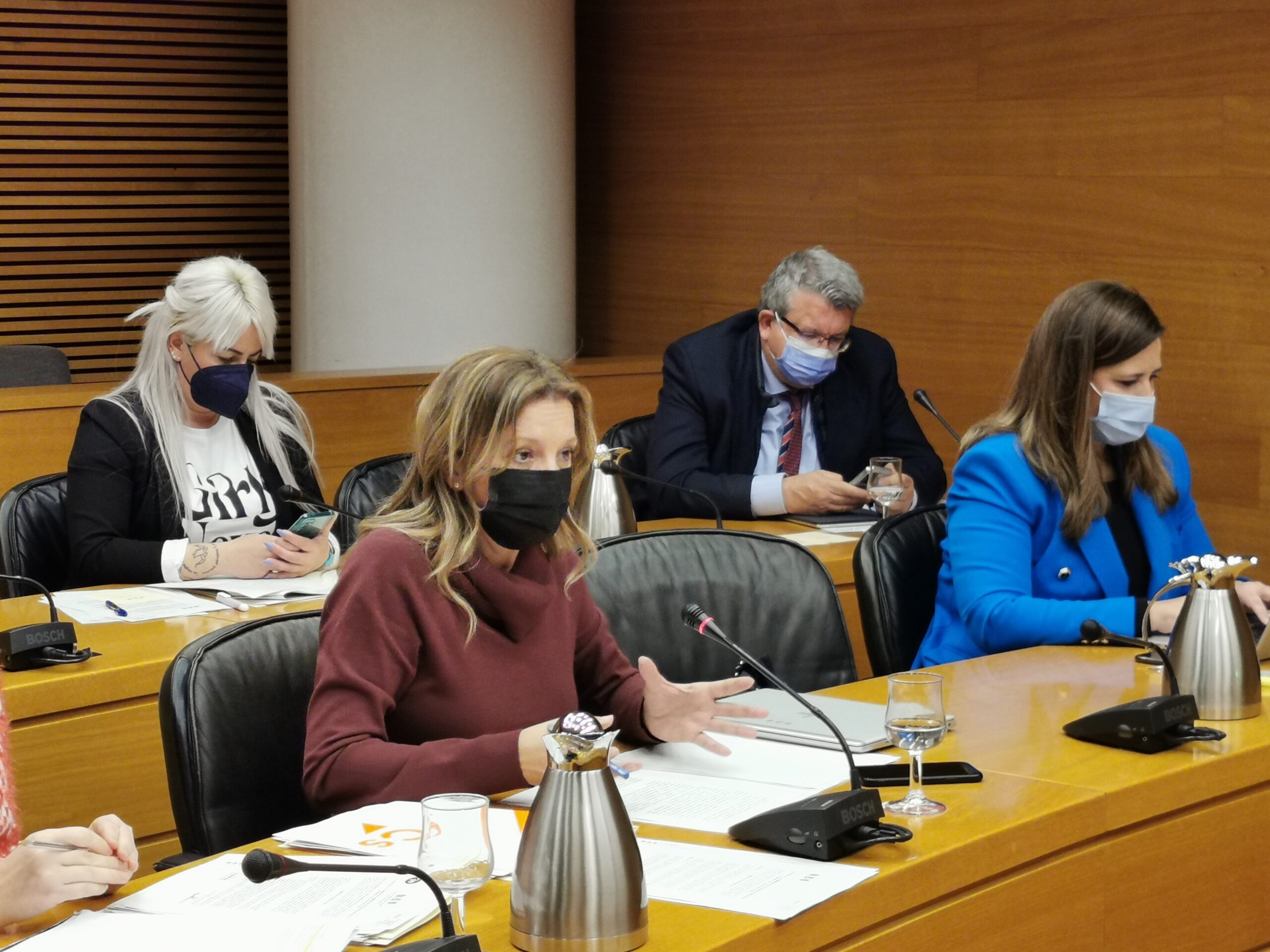 Ciudadanos impulsa una PNL para proteger los datos de las mujeres víctimas de violencia de género