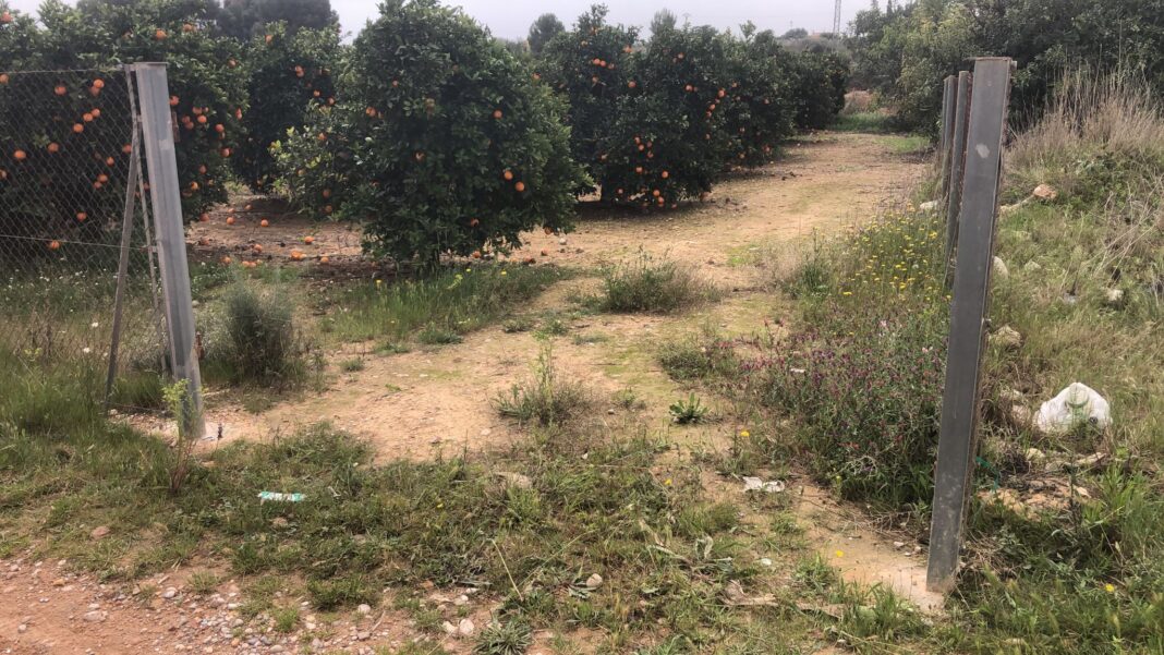 AVA ASAJA denuncia una oleada de robos de hierro en explotaciones agrarias en la zona de Manises