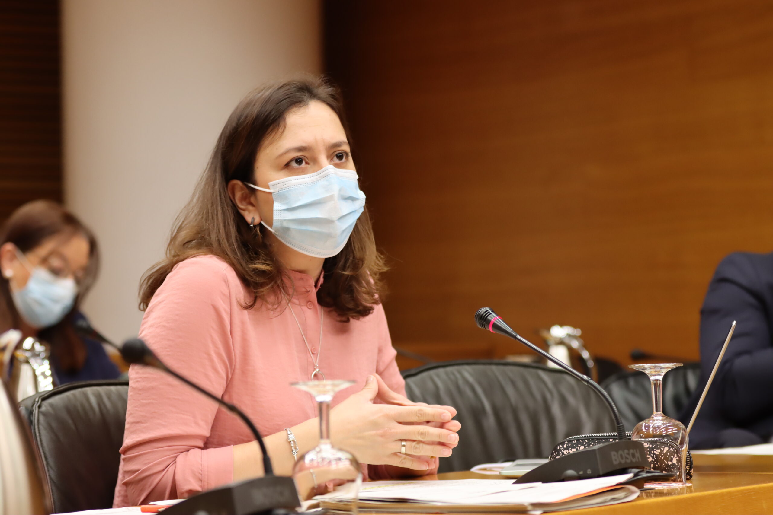 Ciudadanos CV pide que la Sindicatura de Comptes fiscalice los contratos de urgencia durante la pandemia