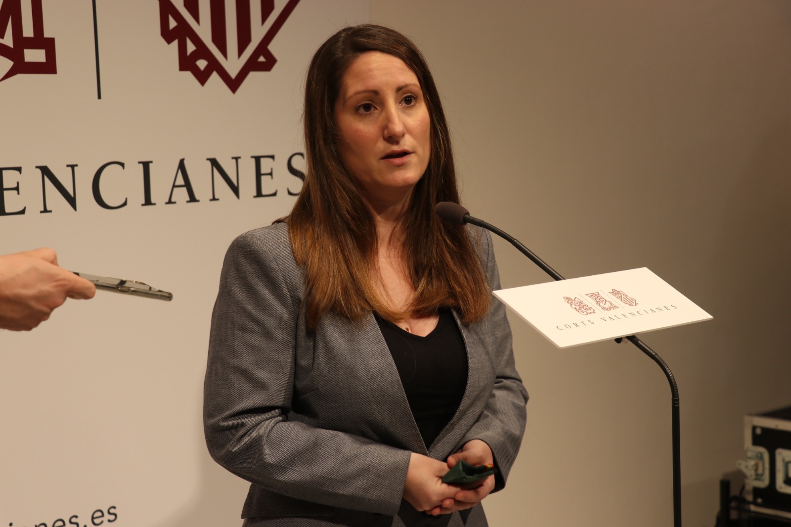 Ana Vega (VOX) a Puig: “Oltra debe cambiar el sillón azul por el banquillo de los acusados”