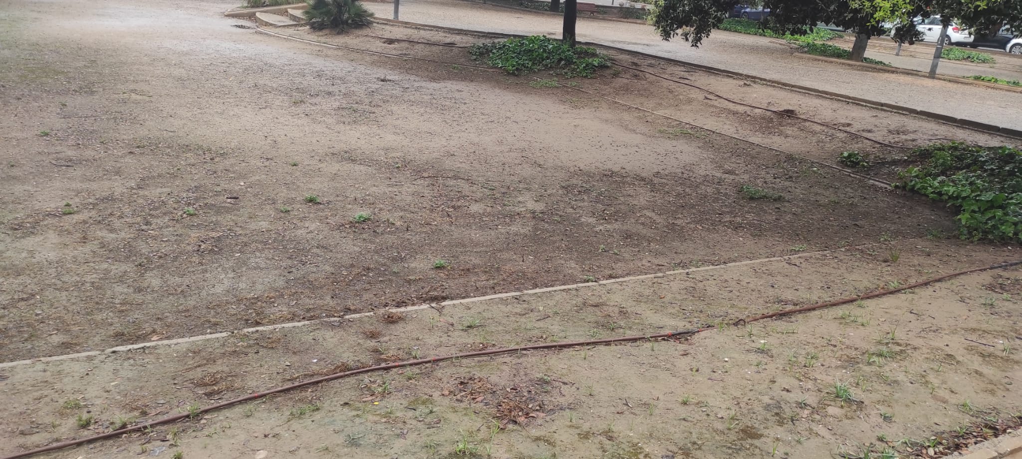 Valencia paga 6,5 millones en contratas vencidas y sin convocarse en basura, fuentes o limpieza a pesar de los reparos de intervención