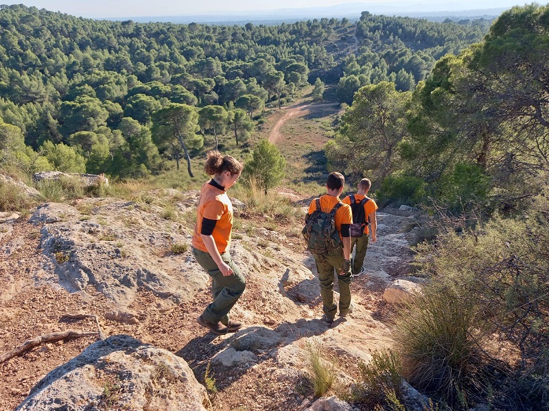 Presentan los resultados del proyecto ViaLynx de la CEU UCH para la reintroducción del lince ibérico en el área mediterránea