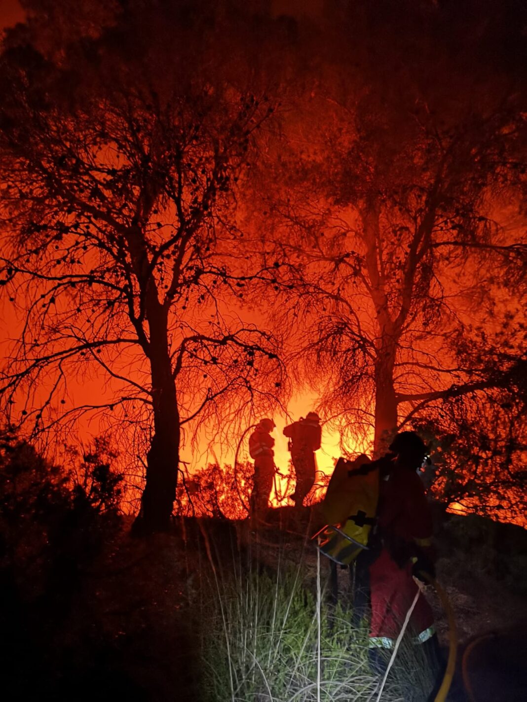 El incendio forestal de Venta del Moro descontrolado ya ha calcinado más de 800 hectáreas