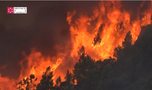 El Incendio de Bejís suma ya 9.900 hectáreas calcinadas y el de Vall d'Ebo 11.500. Se declara un nuevo incendio en Petrer