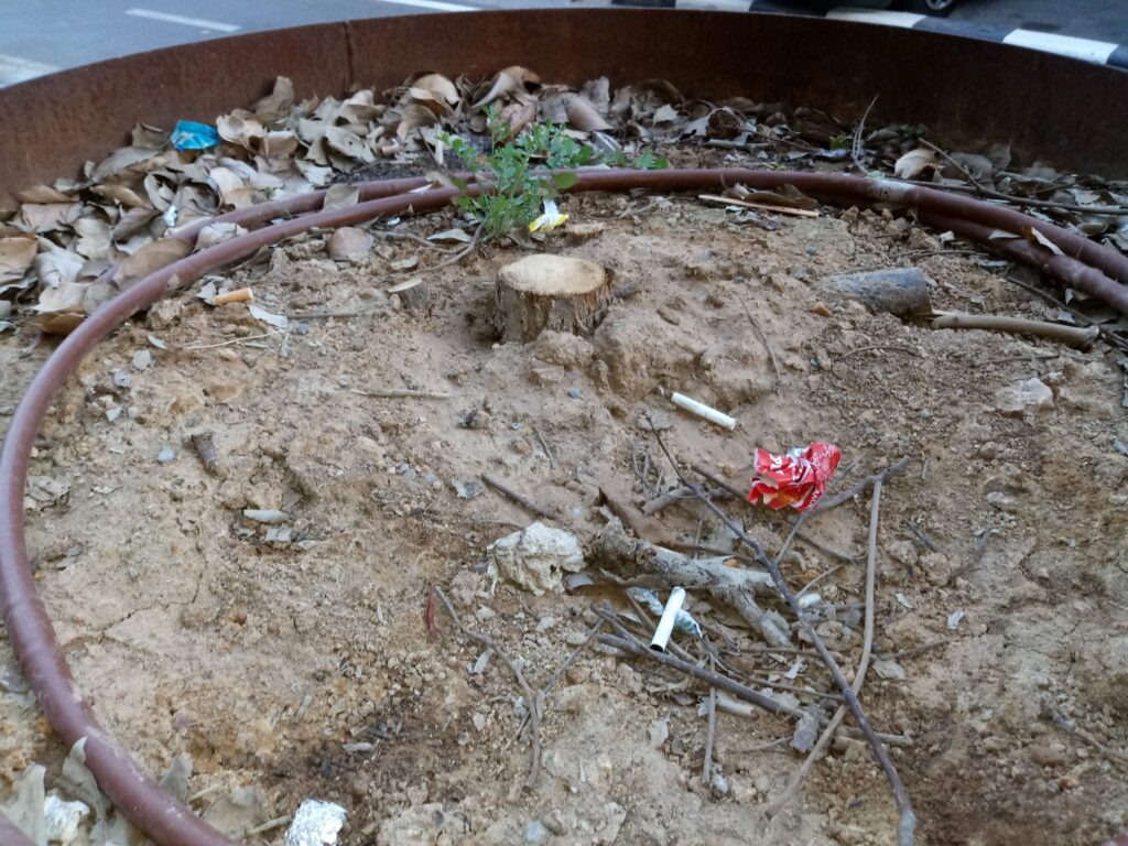 Menos de un año de la reforma de un tramo de Ramiro de Maeztu la jardinería está abandonada y han desaparecido los árboles plantados