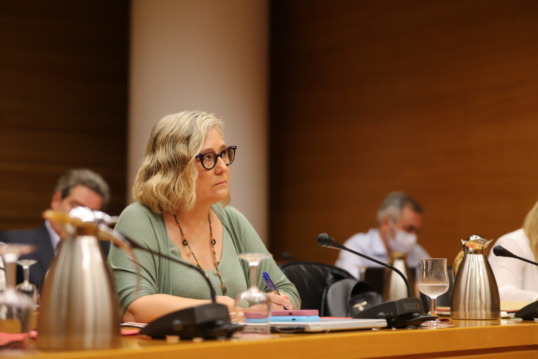 Mamen Peris considera a los Presupuestos de la Generalitat Valenciana 2023 un panfleto con mucho ruído y poco contenido