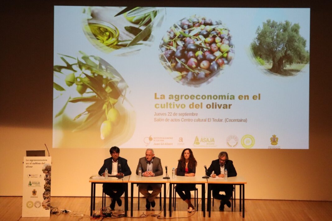 ASAJA Alicante crea 'Olis d'Alacant' para poner en valor el cultivo del olivar de la provincia