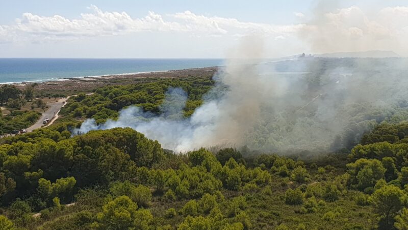 Varios conatos de incendio en el Saler mientras los vecinos siguen esperando los cañones de agua y la pinocha se acumula al borde de la carretera