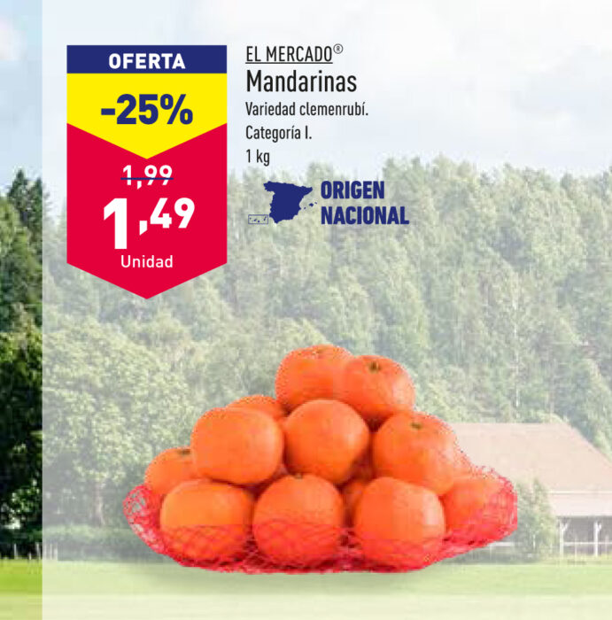 AVA ASAJA señala a la cadena alemana ALDI que baja un 25% el precio de las mandarinas españolas y les acusa de cometer una presunta venta a pérdidas
