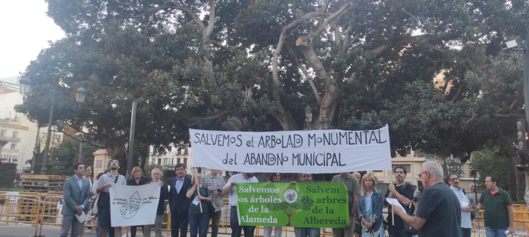 Los vecinos piden a Campillo cuide los árboles de la Ciudad y haga públicos los informes sobre su estado