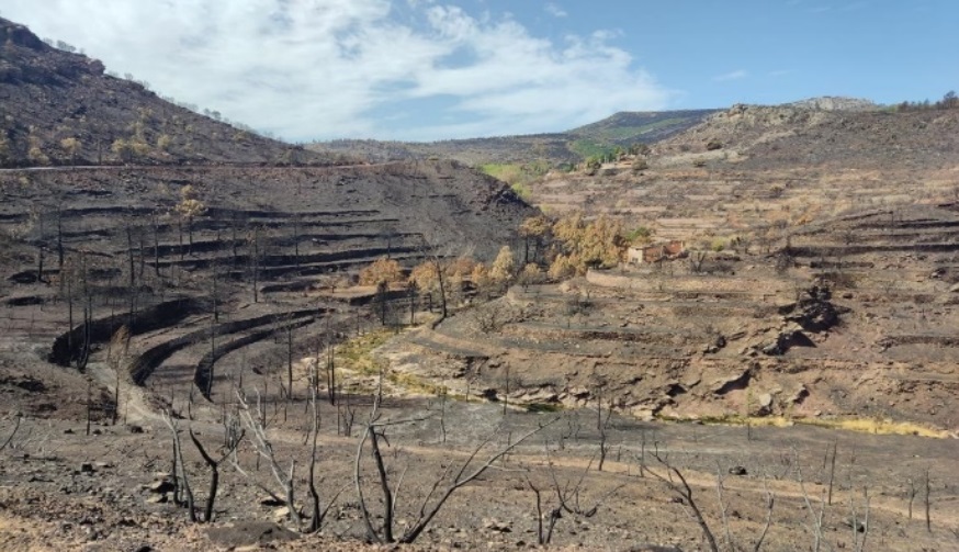 La CHJ destina 1,2 millones para la reparación de los daños causados al dominio público hidráulico por los incendios de Vall d'Ebo y Bejís