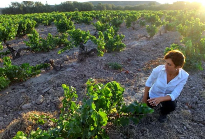 La Diputación de Valencia pone en marcha un observatorio de la mujer rural para apoyar el emprendimiento