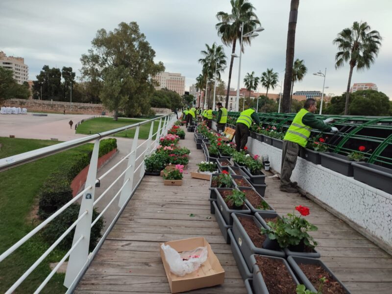 Los geranios y murcianas vuelven al Puente de las Flores tres meses después de su última retirada