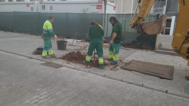 Torrent planta cerca de 200 árboles en las zonas de Reina Sofia, Parc Central, El Vedat y la Ronda de Safranar