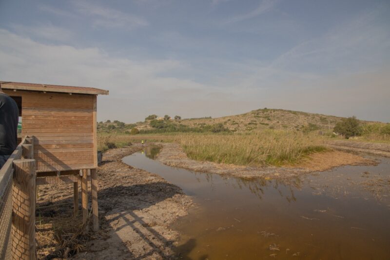 La Bassa de San Llorenç de Cullera tendrá un Centro de Interpretación de Aves
