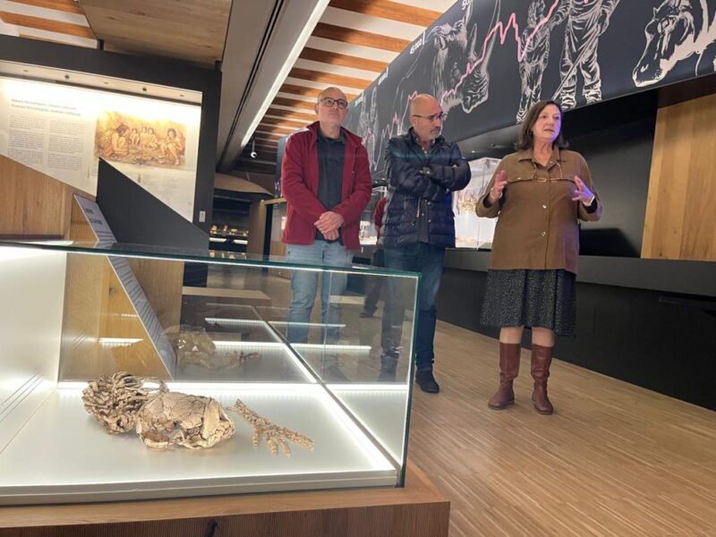 El Museu de Prehistòria de Valencia presenta el esqueleto de Neandertal de la Cova Foradada