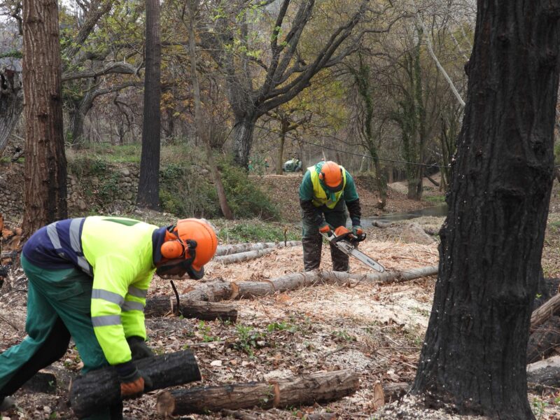 La Confederación Hidrográfica del Júcar trabaja en la recuperación de la zona del dominio público hidráulico afectado por los incendios de la Vall d’Ebo (Alicante) y Bejís (Castellón)