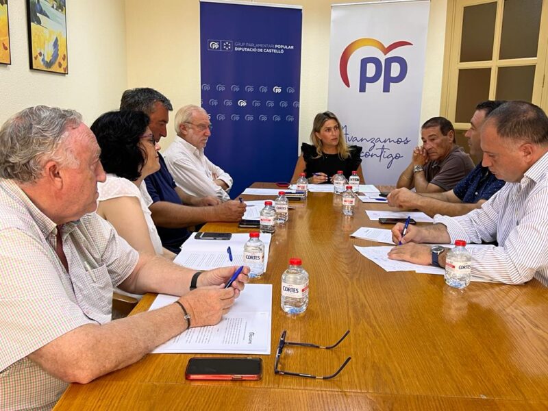 Los alcaldes del PP afectados por los incendios de Castello muestran su desesperación y exigen a la Diputación cumpla lo anunciado