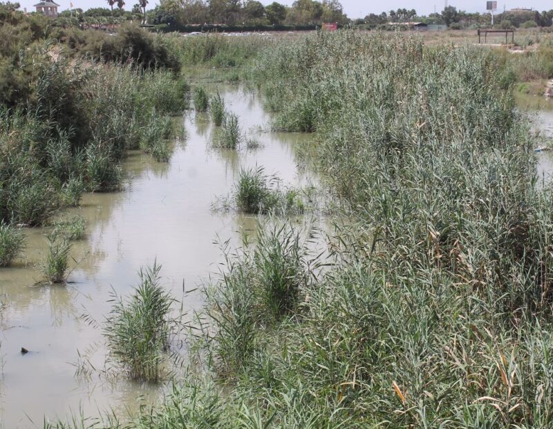 ASAJA-Alicante considera que el plan del Gobierno para prevenir inundaciones es un fracaso y pone en peligro la agricultura de la Vega Baja