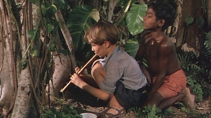 El Institut Valencià de Cultura y la Biblioteca Pública de Valencia proyectan en la Filmoteca valenciana ‘El río’ de Jean Renoir
