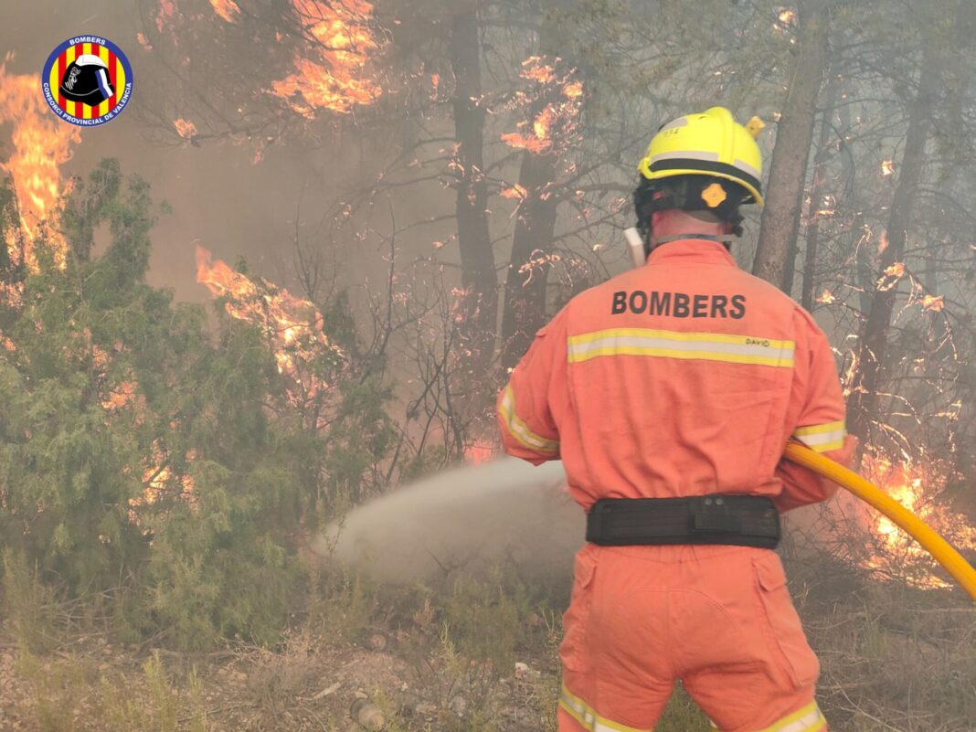 Se disparan los incendios forestales y de vegetación en la provincia de Valencia con 1.227 en el primer trimestre de 2023
