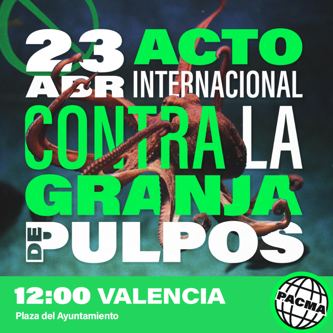 PACMA protestará en Valencia el domingo contra la apertura de una granja de pulpos en Canarias
