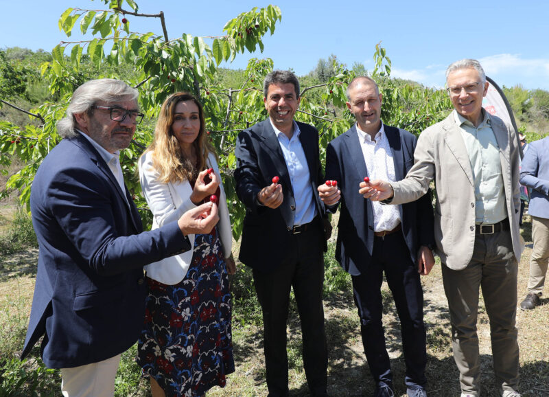 Mazón reclama deshago impositivo para los jóvenes que quieran poner en marcha sus tierras agrícolas