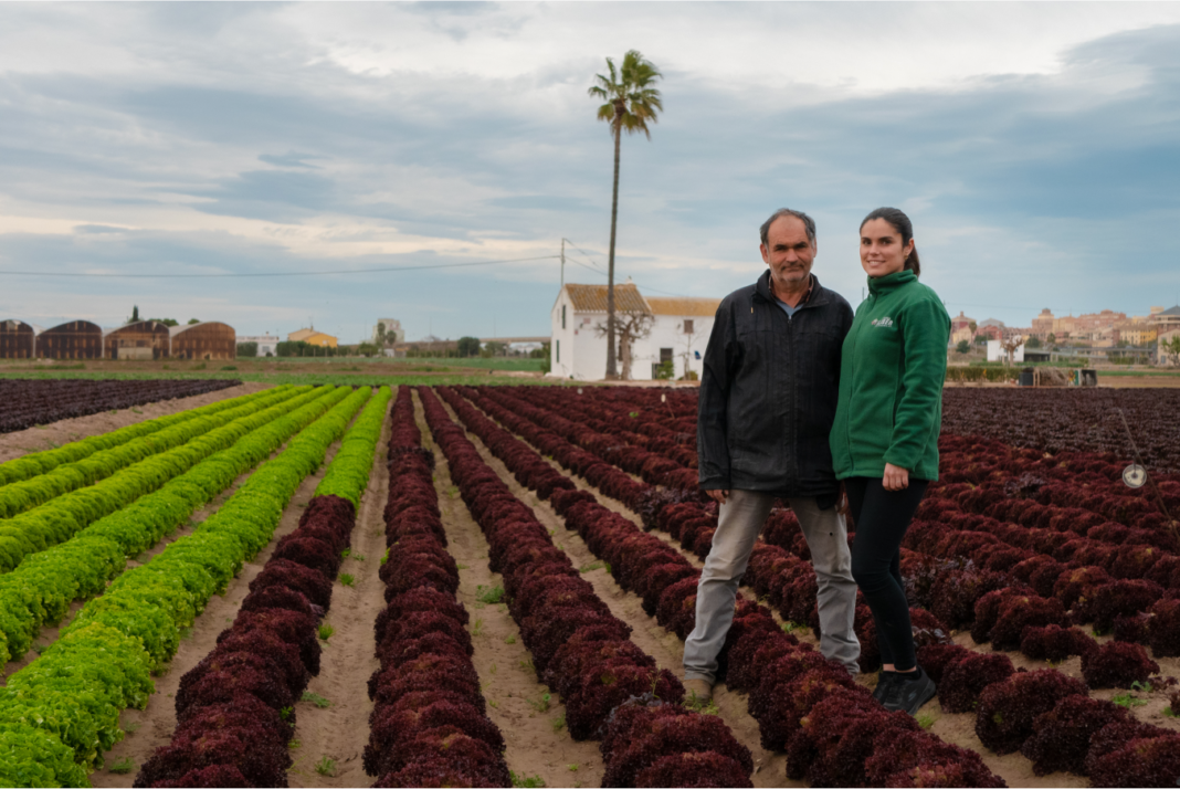 El Ajuntament de Alboraya promociona una web de venta directa al consumidor de productores locales