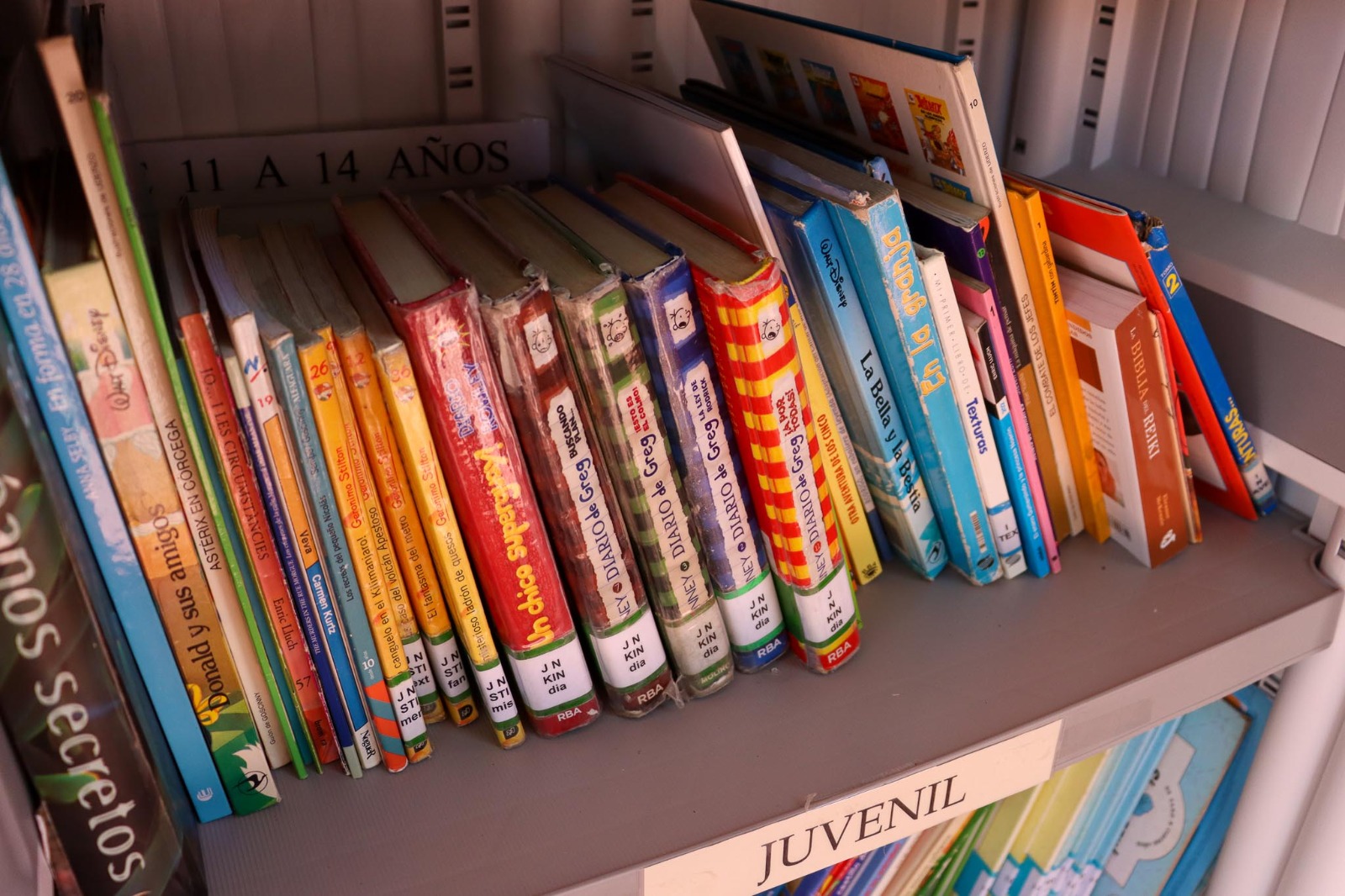 El Ayuntamiento de Torrent pone en marcha la Bibliopiscina de Parc Vedat