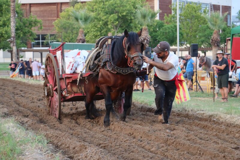 Torrent vive un intenso fin de semana de actividades festivas