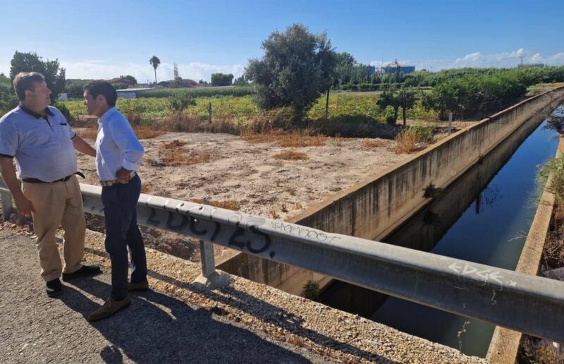 El Ayuntamiento reforzará la limpieza y la poda en La Punta  