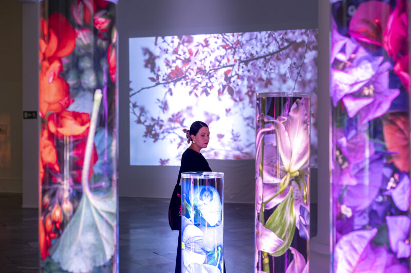 El Centre del Carme propone siete exposiciones con disciplinas variadas, desde la ilustración al videoarte, para disfrutar de la cultura en agosto