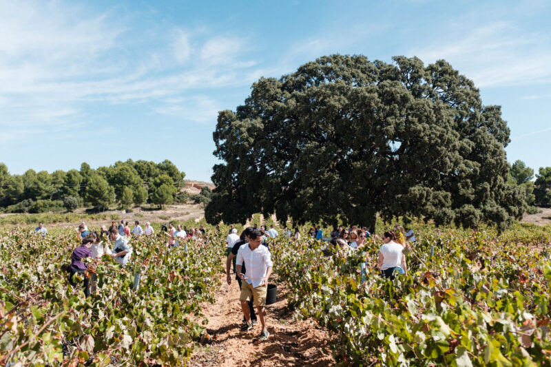La Diputación de Valencia celebra el Día Mundial del Turismo con actividades en varios municipios desde este fin de semana