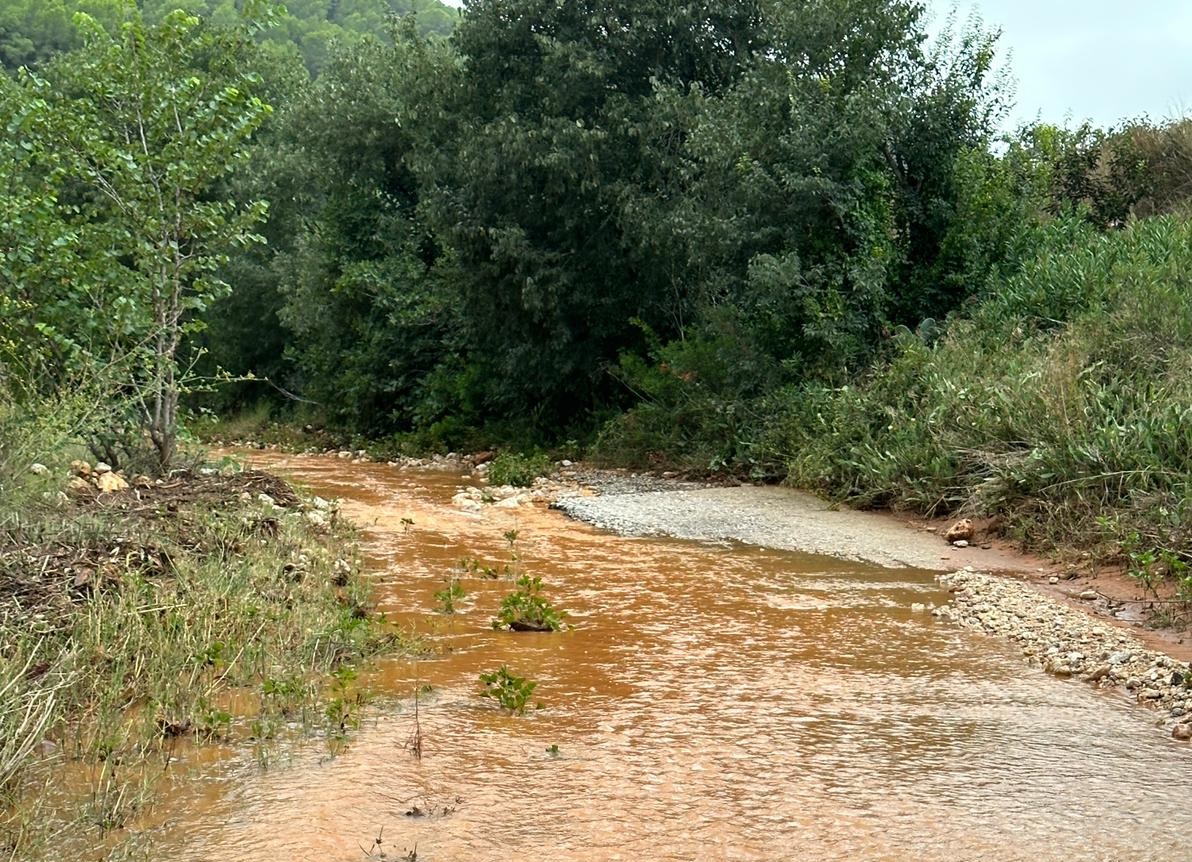 La DANA provoca daños en infraestructuras agrarias y en campos de almendras pendientes de recolectar