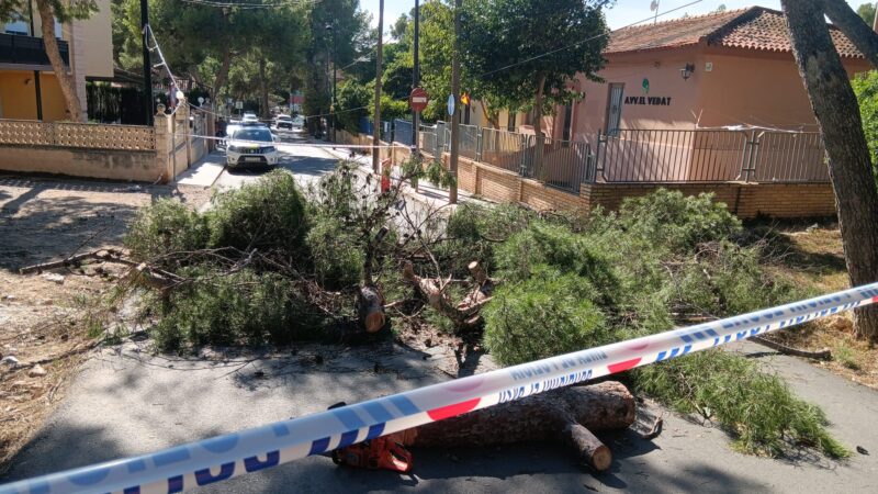  Torrent se ha visto afectada por la borrasca Ciarán.