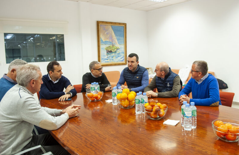 Mompó exige «soluciones» para la agricultura valenciana y anuncia la puesta en marcha de acciones de apoyo al sector