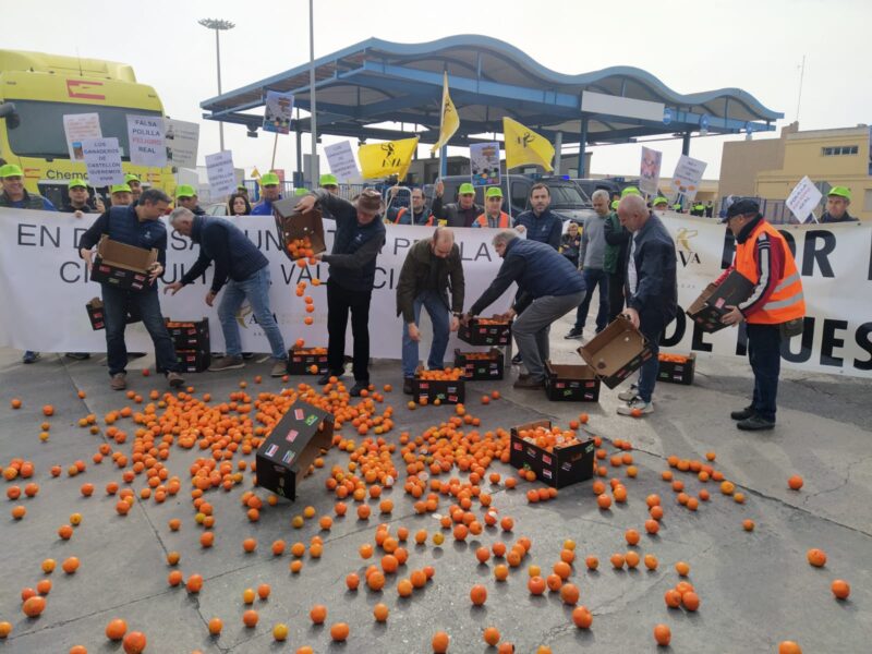Las organizaciones agrarias denuncian en el puerto de Castellón la competencia desleal y la entrada de plagas