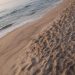 Valencia reabre las playas afectadas por el vertido de fuel, pero mantiene la bandera roja de prohibición del baño